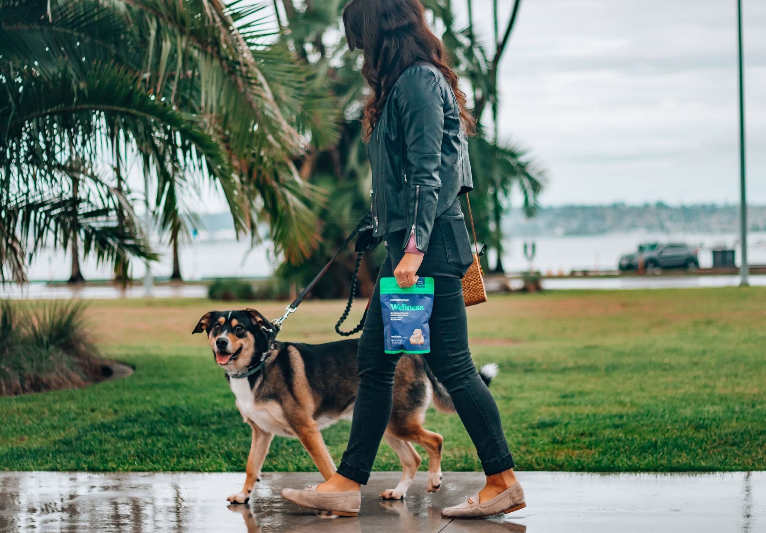 Femme promenant un chien en laisse dans un parc